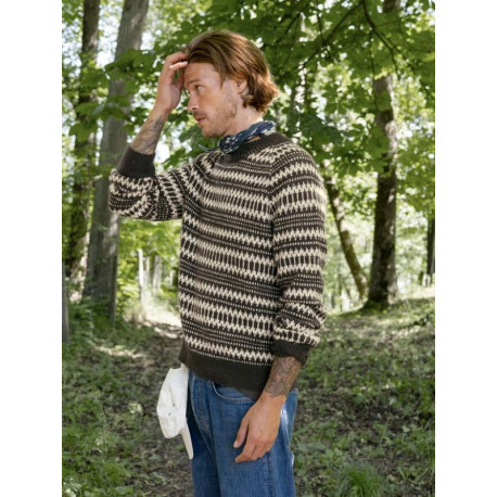 Sandnes 2410 5 Kleiva Herrenpullover Strickset