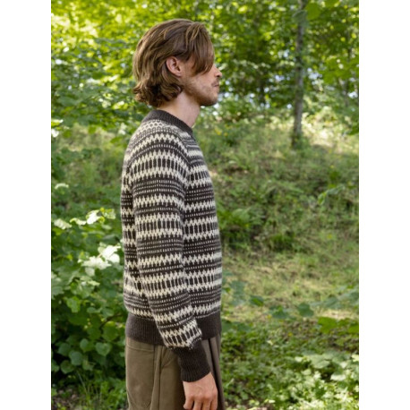 Sandnes 2410 5 Kleiva Herrenpullover Strickset