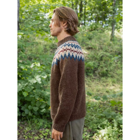 Sandnes 2410 6 Polar-Light Herrenpullover Strickset