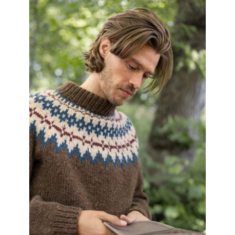 Sandnes 2410 6 Polar-Light Herrenpullover Strickset