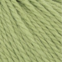 Lang Yarns Carpe Diem - Matcha 0216 [Preorder]