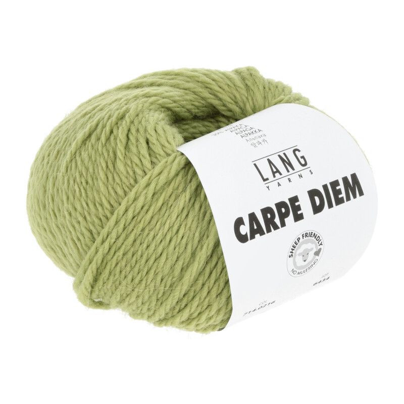 Lang Yarns Carpe Diem Matcha 0216 Preorder