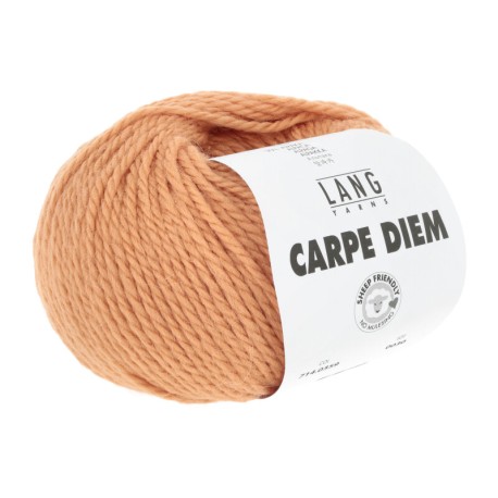Lang Yarns Carpe Diem Tangerine 0359 Preorder