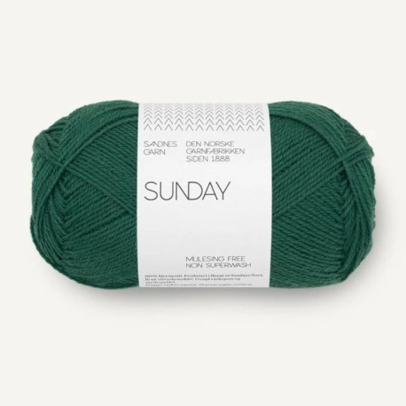 Sandnes Sunday - Rain Forest 7772 [Preorder]