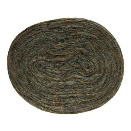 Istex Plötulopi Frost Grass 2021