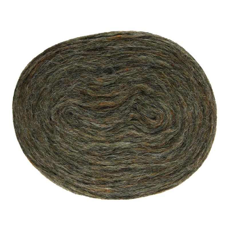 Istex Plötulopi Frost Grass 2021