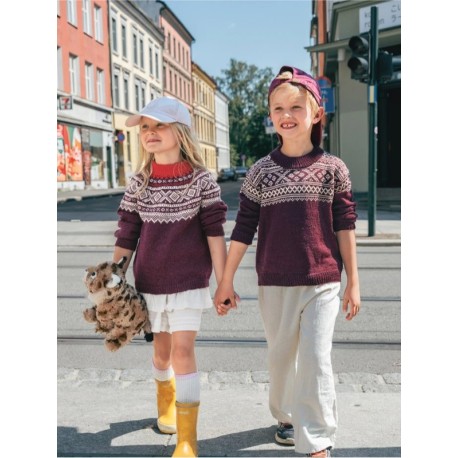 Sandnes 2509 4a Setesdal Pullover Junior Strickset