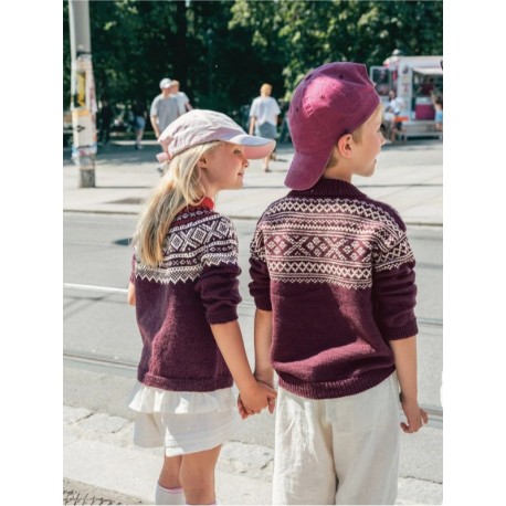 Sandnes 2509 4a Setesdal Pullover Junior Strickset