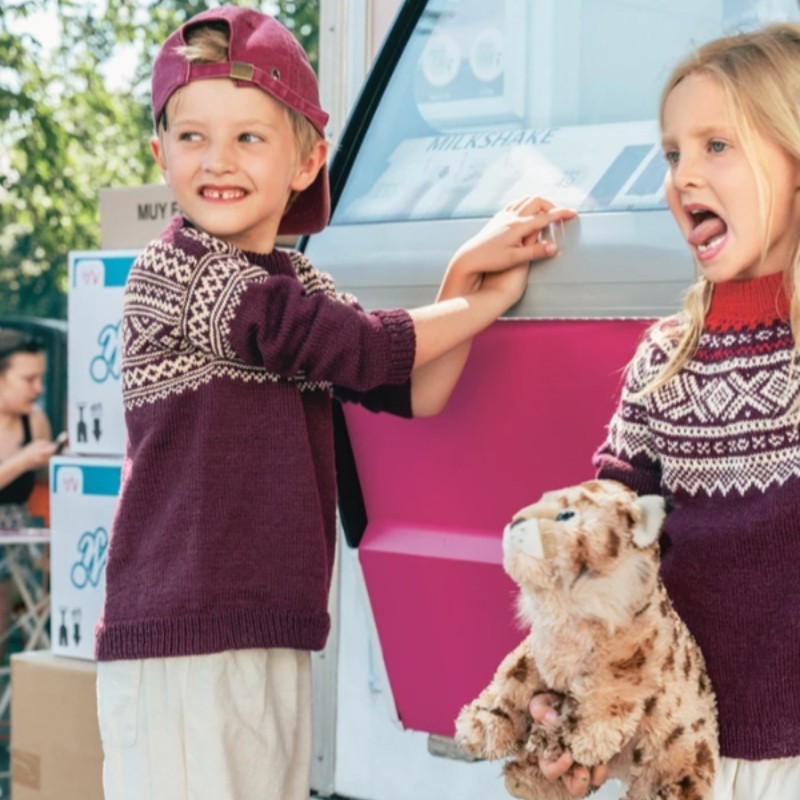 Sandnes 2509 4a Setesdal Pullover Junior Strickset