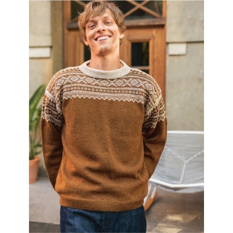 Sandnes 2510 4 Marius Damegenser Strickset