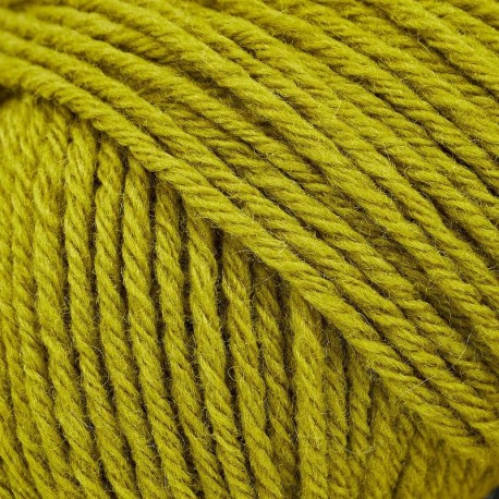 Knitting for Olive Heavy Merino Green Woodpecker Detail