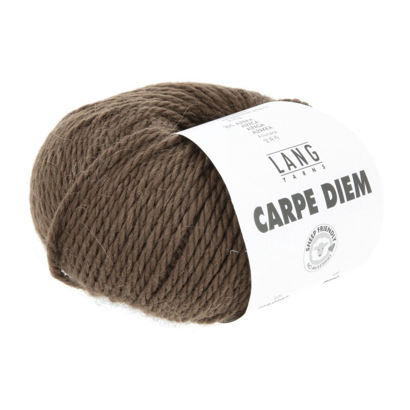 Lang Yarns Carpe Diem - Kakao Preorder