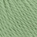 Lang Yarns Carpe Diem - Grün 0017 [Preorder]