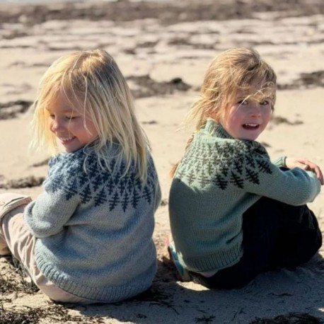 Hanne Rimmen Prisme Sweater Junior Wollpaket
