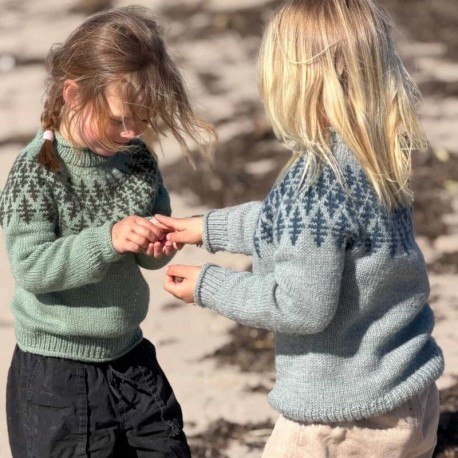 Hanne Rimmen Prisme Sweater Junior Wollpaket