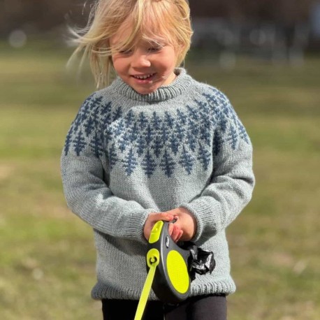 Hanne Rimmen Prisme Sweater Junior Wollpaket