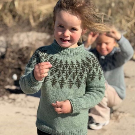 Hanne Rimmen Prisme Sweater Junior Wollpaket