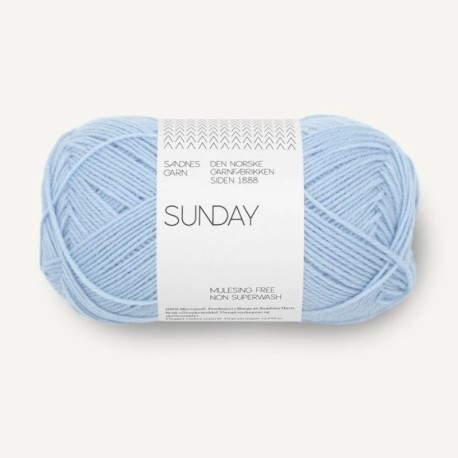 Sandnes Sunday - Brunnera Blue 5812