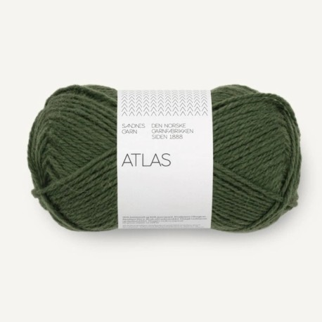 Sandnes Atlas Dark Forest Green 8571