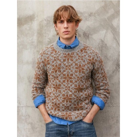 Sandnes 2609 5 Astra Herren Pullover Strickset
